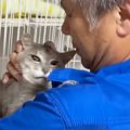 パパに抱っこされるのは嫌な保護猫→ママが抱っこしてみると…まさかの光景…