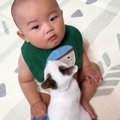 『小さな子猫』が『赤ちゃんの足の間』でくつろぎ始めた結果…「可愛すぎて…