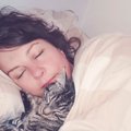 愛猫が飼い主さんの『顔の近くで寝たがる』意味は？考えられる3つのかわい…