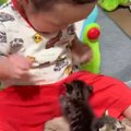1歳5か月の赤ちゃん→小さな子猫が登ってくると…信じられないほどに尊い光…