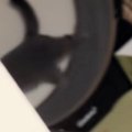 早朝から『キャットホイールを回し始める猫』→見られていることに気づくと…