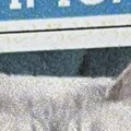 猫が動物病院でワクチンを接種→もらった『証明書』を見たら…笑ってしまう…