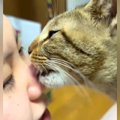 ネコが顔を舐めてきたと思ったら、次の瞬間…完全に想定外な『まさかの…