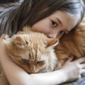 猫を大事に飼っている人が絶対にしない１０の事