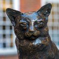 猫好きな文学者『サミュエル・ジョンソン』の偉大な仕事を支え、大好物の…
