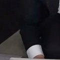 引っ越し業者さんの説明を受けていたら、猫が……『まさかの行動』が可…