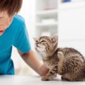 猫をなでると足も動いちゃうのはなぜ？