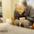 『97歳のおばあちゃん』と『0歳の子猫』を会わせてみたら…すてきなリ…