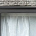 お隣さんから送られてきた写真を確認してみたら、『2匹の猫』が…ほっ…