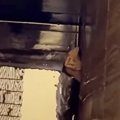 水が張った溝の中から『必死に鳴いていた子猫』→助けようと多くの人が…