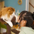 帰宅すると『おかえり』してくれる猫、学校帰りの長女が顔を近づけた…