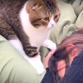 『なんで起きてくれないの！』飼い主さんに怒る可愛い猫くん♡