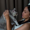 猫を飼うと『不幸』になる人の特徴とは…4つの共通点にあなたは当ては…