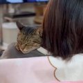 猫は2年前に家をでた娘が帰ってきたら…尊すぎる『再会の光景』に思わ…