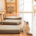 猫と暮らす事を想定した賃貸！？猫専門アパートCat Casaが素敵♡