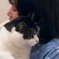 酔っ払いのママに『近づいてしまった猫』→捕まってしまい…笑ってしまう光…