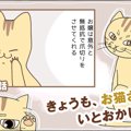 きょうも、お猫さまはいとをかし。【第17話】「見つからない解決策」