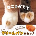 「ねこのおてて」は猫の足だけの写真集！クリームパンに見えてくる秘密