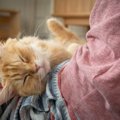 猫との暮らしで『幸せを感じる瞬間』7選　何気ない日常がかけがえのない時…