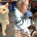 飼い主に手放された19歳の老猫…突然舞い込んだ吉報とは？