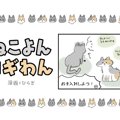 ねこよんコギわん【第22話】「シャンプータオル」