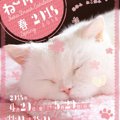 5/20まで開催！ねこ休み展春2018の見どころやスケジュール