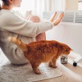 猫の寒さ対策に『暖房器具』を使うときの注意点4つ　起こりうるトラブルや…