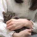 シャーシャーと威嚇しまくりだった保護子猫が、1週間後……泣けるほど尊い『…