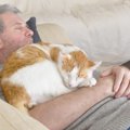 猫が『飼い主の体の上で眠りたがる』4つのワケ！他の場所で眠る時との…