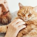 猫の飼い主の『性格』には共通点がある！3つのポイント	