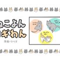 ねこよんコギわん【第24話】「みんな違って可愛いしっぽ」