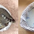 ひんやり涼しい！夏用猫ベッドを手作りしました