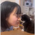 子猫が可愛すぎて…女の子が思わず『食べるフリ』をした結果→97万再生…