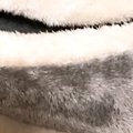 二枚貝のような形の猫用ベッドで『くつろぐ猫』を見たら…思わず笑顔になる…