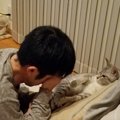 猫が飼い主にいきなり『猫パンチ』をする心理５つ