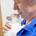 ドブの中から保護された赤ちゃん猫→パパが『メロメロ』になった結果……