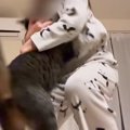 娘が『内緒で撮っていた映像』を見てみたら…猫との『尊いやり取り』が…