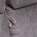 ソファーの間から『猫の前足』→何してるんだろうと思い見てみたら…「レベ…