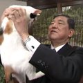 石破茂氏が猫に愛される4つの理由