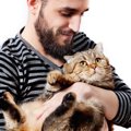 猫の血糖値平均はどれぐらい？糖尿病を予防する3つの方法