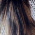 『ロングヘアの女性』かと思いきや…正面から見てみると『まさかの光景…