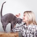 猫も人によって態度が違う?叱られるときと褒められるときの表情の違い