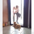 『ワシのこと忘れとるかもな』長い入院からおじいちゃんが帰ってくると…猫…
