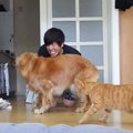 猫と大型犬が『急に倒れた飼い主』を見たら…まさかすぎる結末に「3人…