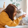 もはやストーカー？猫を『粘着体質』にしてしまう飼い主さんの行動3選…