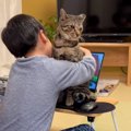 『次男にかまってほしい猫』vs『ゲームをしたい次男』…攻防戦の様子が…