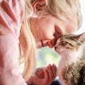 猫が飼い主と『触れ合いたい』時にする仕草4つ