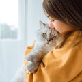 『猫吸い』をたしなむ際に守るべき3つのこと　猫のストレスや病気感染…