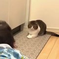 「大丈夫かニャ？」赤ちゃんを心配するパパ猫さん