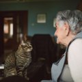 猫に『話しかける』ことで得られるメリット3選　毎日使える言葉の選び方と…
